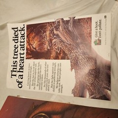 Woodsy Owl vintage poster This tree died of a heart attack 18″x12.5″
