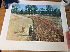 1966 USDA America The Beautiful 5 Poster Lot 24×20 Print Photo Vintage Landscape
