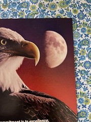 Vintage 1985 USPS United States Postal Service Express Mail Print Ad Eagle