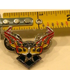 2005 US Air Force USAF Military WR Gunzelman Squadron Star Flames Pin Badge Art