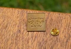 United States Census 2010 Gold Tone Metal Lapel Pin Pinback