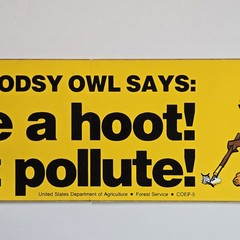 Vintage USDA Woodsy Owl Sticker Decal Give A Hoot Don’t Pollute Unused 80s