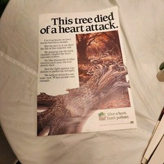 Woodsy Owl vintage poster This tree died of a heart attack 18″x12.5″