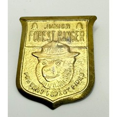 Vintage Junior Forest Ranger Smokey Bear Prevent Forest Fires Pin Badge