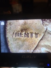 2003 Struck Through Grease Error Penny Also L Missing In Liberty under scope.