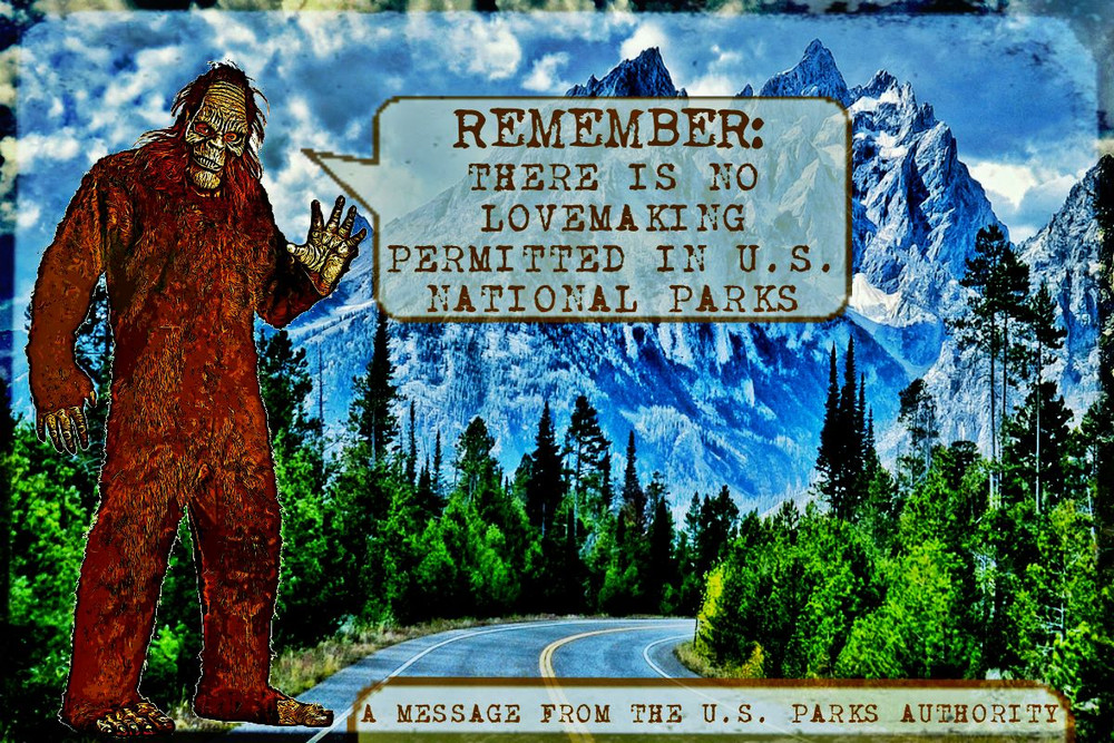 VINTAGE BIG FOOT SASQUATCH SIGN! 8″x12″ METAL FOREST SERVICE NATIONAL PARK HUMOR