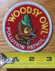 Vintage Woodsy Owl Pollution Patrol Patch Collectable New Sew-On Patch