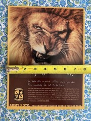 Vintage 1998 Army ROTC Recruitment Print Ad Lion