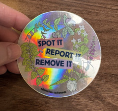 Spot It Report It Remove It Edmonton Weeds Foil Floral Sticker Alberta Canada