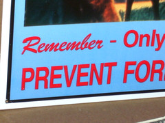 SMOKEY BEAR Only You Can Prevent FOREST FIRES SIGN – Deer Cub Fawn Watching Fire