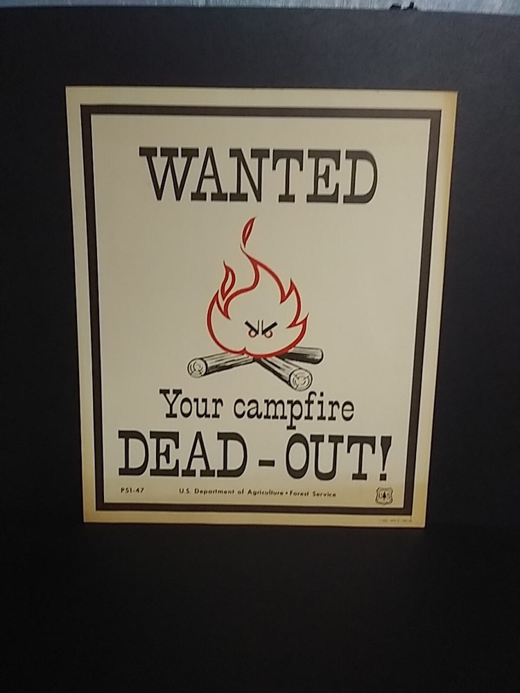 Colorful Old 1973 Forest Service Sign WANTED Your Campfire Dead-Out