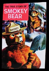 THE TRUE STORY OF SMOKEY THE BEAR COMIC BOOKLET BROCHURE 1969 VINTAGE