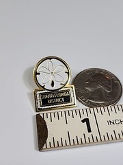 USPS South Florida District Lapel Pin United States Postal Service Sand Dollar
