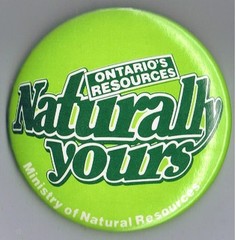 Ontario Ministry of Natural Resources 3″ Advertising Pinback Button Canada Green