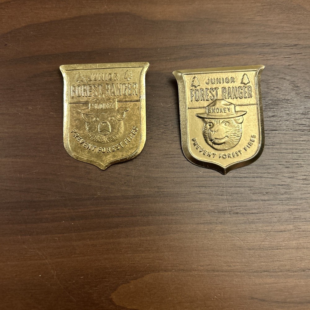 Vintage Junior Forest Ranger Smokey Bear Prevent Forest Fires Pin Badge Lot Of 2