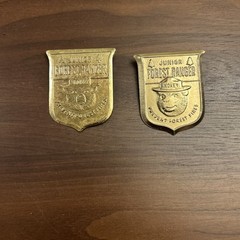 Vintage Junior Forest Ranger Smokey Bear Prevent Forest Fires Pin Badge Lot Of 2