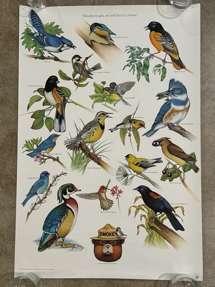 Vintage Smokey Bear Bird Poster 1977 Forest Service Wildfire Prevention 19×29