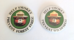 Lot of 2 Help Smokey The Bear Prevent Wildfires Forest Fires Pin Pinback Button