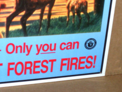 SMOKEY BEAR Only You Can Prevent FOREST FIRES SIGN – Deer Cub Fawn Watching Fire