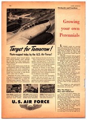 Original 1951 U.S. Air Force Print Ad (6in x 11in) Advertisement