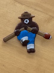 TWO Smokey The Bear Snapping A Match Stick Pins New 2000’s Forest Fires