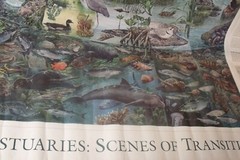 Vintage Environmental Protection Agency EPA ESTUARIES SCENES POSTER 38″ BY 25″