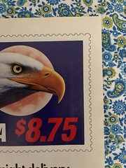 Vintage 1988 USPS United States Postal Service Express Mail Print Ad Eagle
