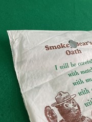Original Plastic SMOKEY THE BEAR LITTER Bag 1960s GREEN CLEAN SCENE Trash Sack
