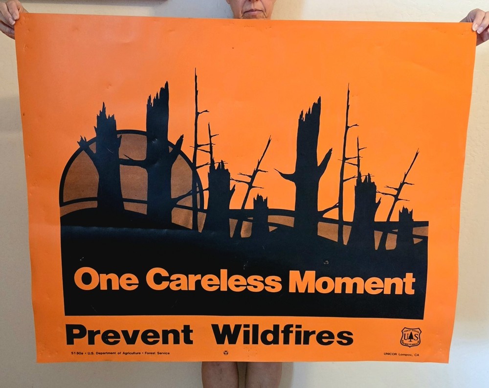 US Forest Service Prevent Wildfires 42 x 34″ Vinyl Sign Smokey The Bear Fire