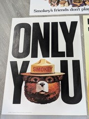 Vintage Smokey Bear Forest Fire Prevention Poster Sign Lot 5 Only You 70s 80s