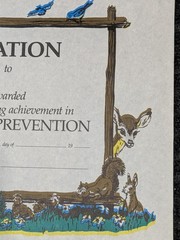 Vintage Smokey Bear Wildfire Prevention Citation Award Certificate Blank USFS