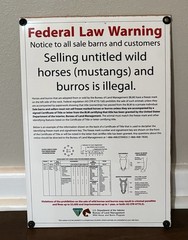Vtg (’70s) American (Polyvinyl) Federal Warning Sign – Selling Untitled Animals