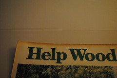 Help Woodsy a litter-bit at a time Poster 18″ x 12.5″