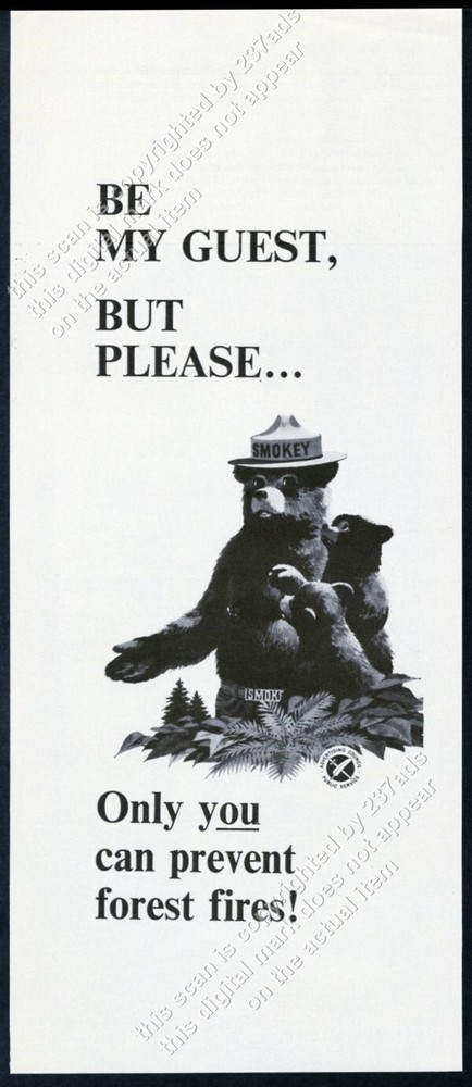 1967 Smokey Bear & bear cubs art Prevent Forest Fires vintage print ad