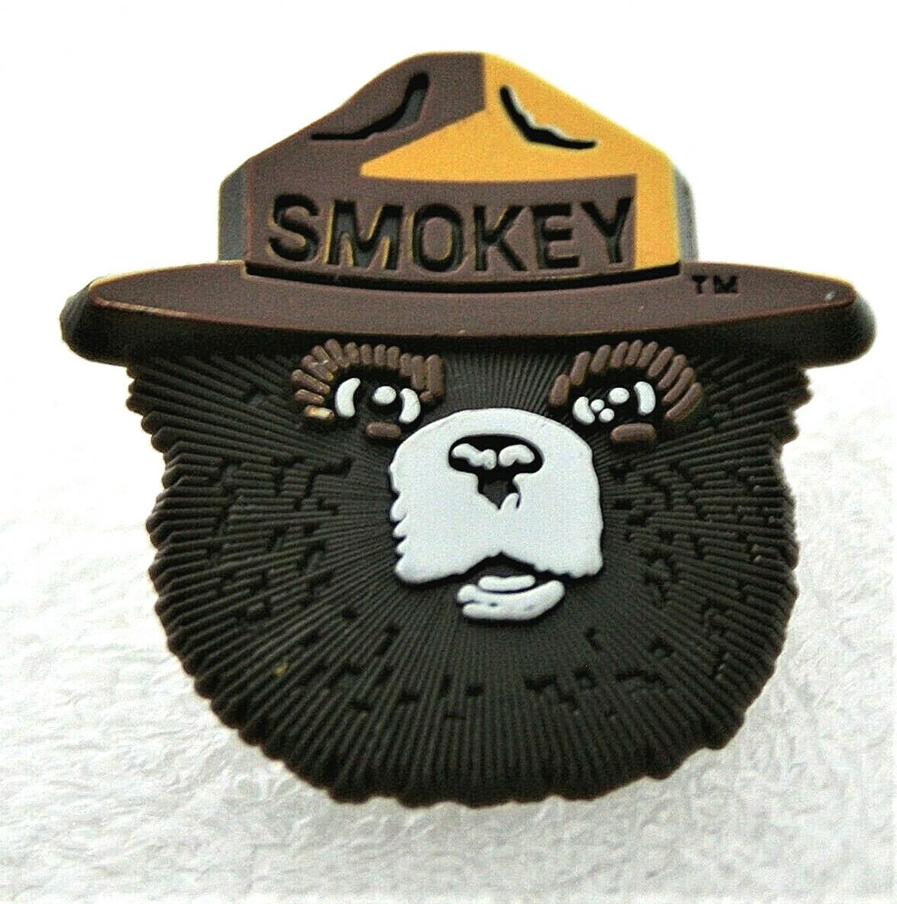 Classic Smokey The Bear Face In Ranger Hat Wildfires Pin Button NOS New 2000’s