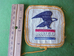 VTG 70s UNITED STATES POSTAL SERVICE EAGLE Sew On PATCH U.S. MAIL 3 1/4″ Square