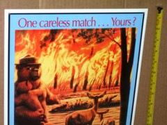 SMOKEY BEAR Only You Can Prevent FOREST FIRES SIGN – Deer Cub Fawn Watching Fire