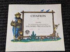 Vintage Smokey Bear Wildfire Prevention Citation Award Certificate Blank USFS