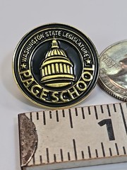 Washington State Legislature Lapel Pin Page School