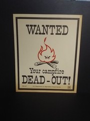Colorful Old 1973 Forest Service Sign WANTED Your Campfire Dead-Out