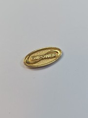 Empower Lapel Pin Gold Color Federal Credit Union