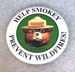 Help Smokey The Bear Prevent Wild Fires! Pin Button NOS New