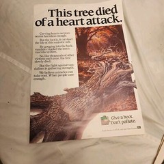 Woodsy Owl vintage poster This tree died of a heart attack 18″x12.5″