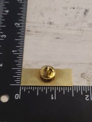 USPS Fastnet Delivery Services Pin Eagle US Postal Service Yx