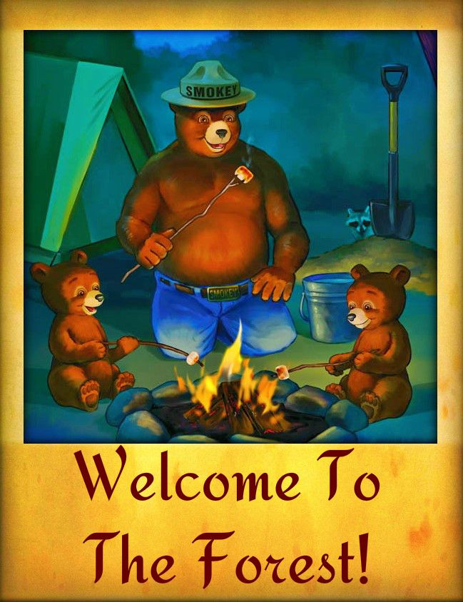 *SMOKEY BEAR WELCOME CAMPFIRE SIGN* U.S. FOREST SERVICE CABIN RUSTIC VINTAGE