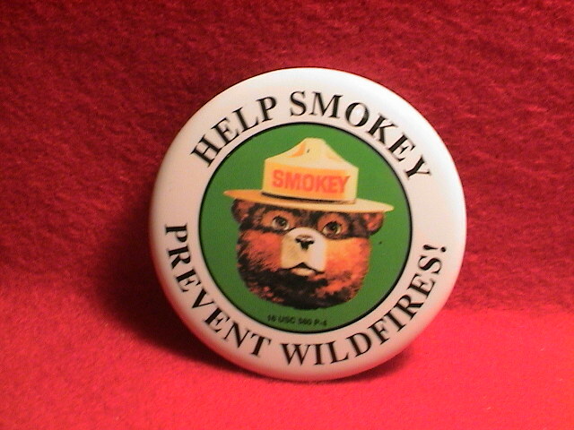 SMOKEY BEAR HELP SMOKEY PREVENT FOREST WILDFIRES! PARK SERVICE WHITE/GREEN PIN