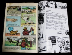 THE TRUE STORY OF SMOKEY THE BEAR COMIC BOOKLET BROCHURE 1969 VINTAGE