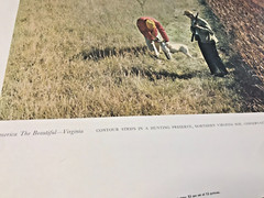 1966 USDA America The Beautiful 5 Poster Lot 24×20 Print Photo Vintage Landscape