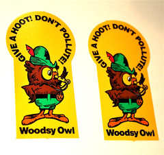 Set Of 2 Woodsy The Owl Give A Hoot Don’t Pollute! 1990s Stickers New NOS