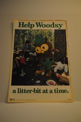 Help Woodsy a litter-bit at a time Poster 18″ x 12.5″
